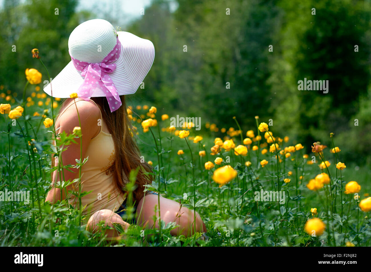 Portrait of teenage girl sitting dans le champ de fleurs Banque D'Images