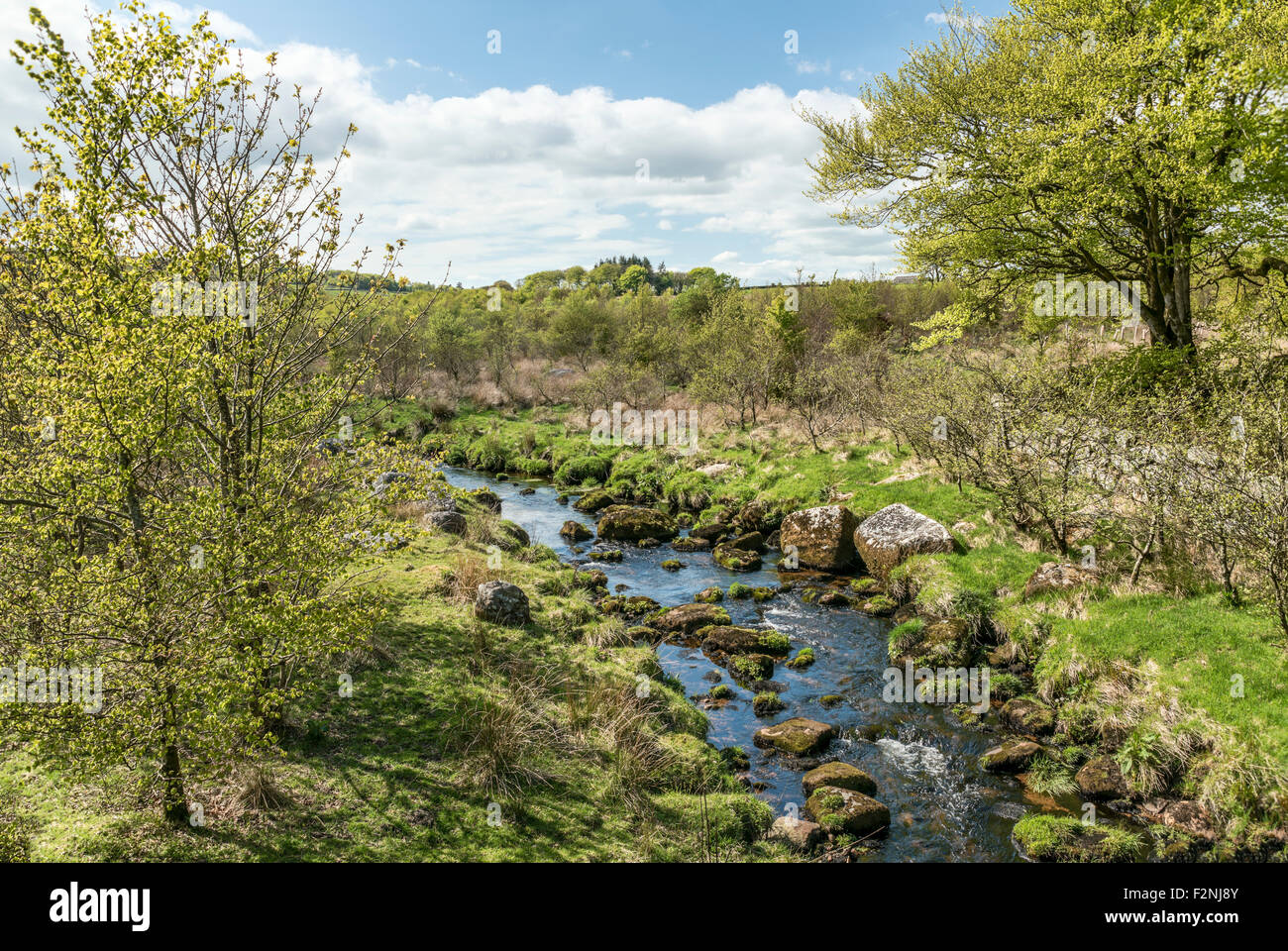 Paysage au parc national de Dartmoor, Devon, Angleterre, Royaume-Uni Banque D'Images