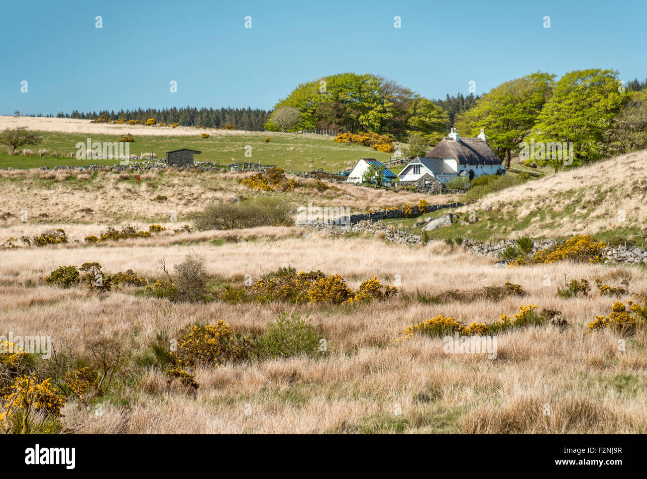 Cottage fermier dans un paysage au parc national de Dartmoor, Devon, Angleterre, Royaume-Uni Banque D'Images