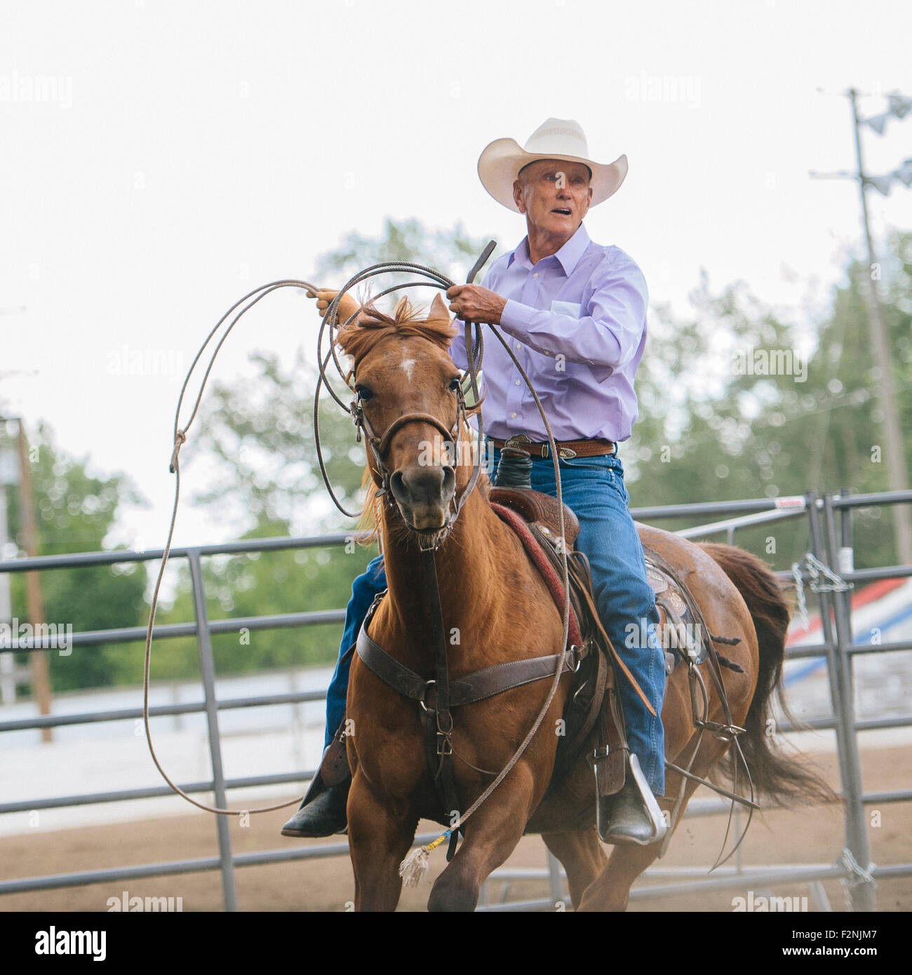 Portrait cheval cowboy rodeo dans Banque D'Images