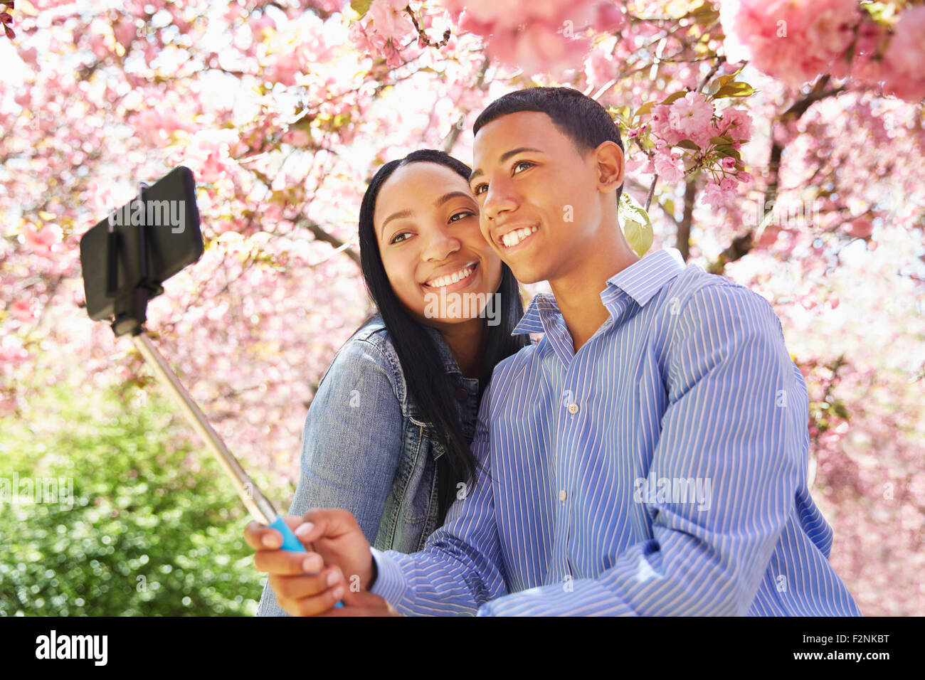 Les amis taking self portrait en vertu de l'arbre en fleurs Banque D'Images