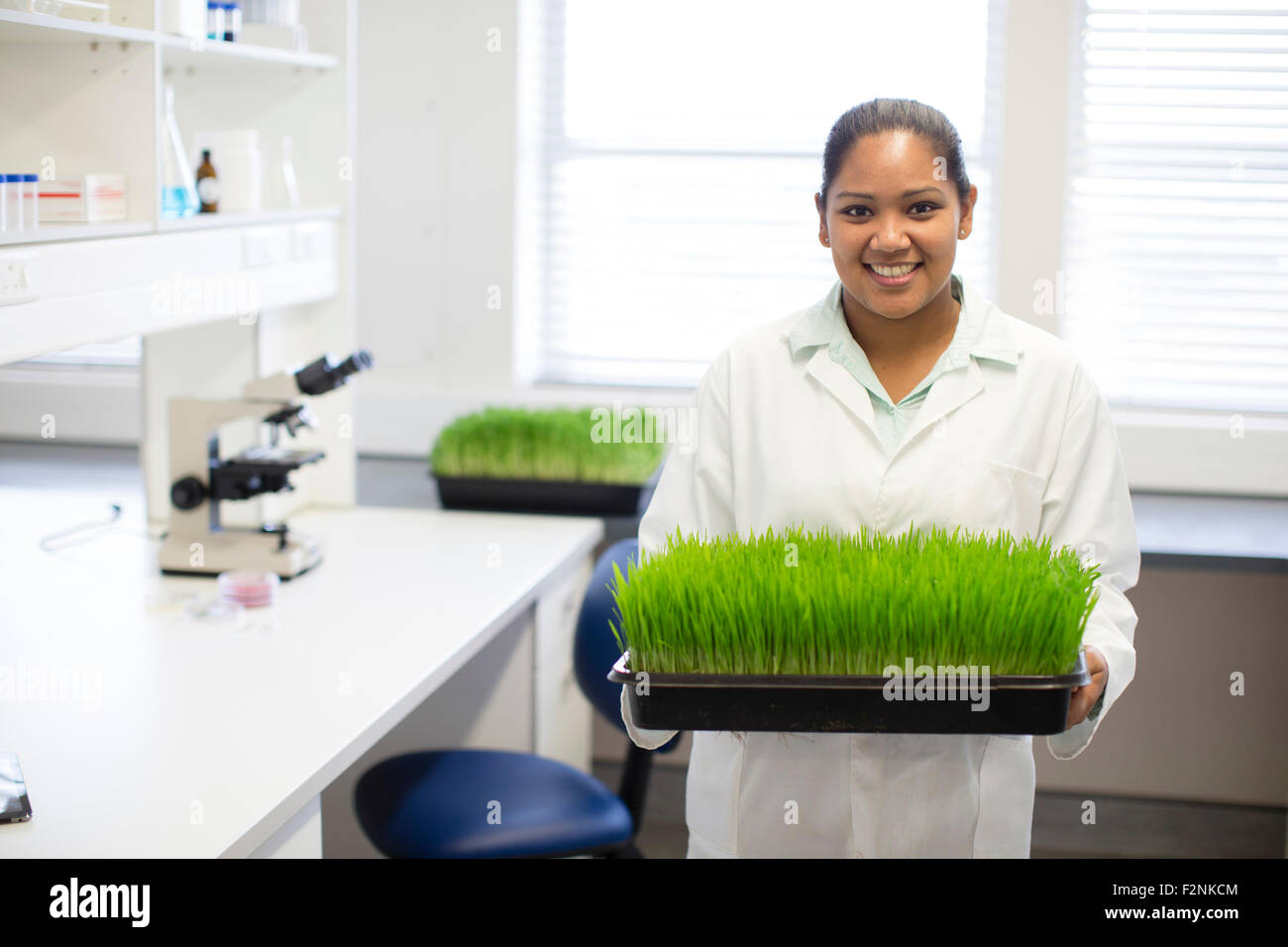 Mixed Race scientist holding plants in laboratory Banque D'Images