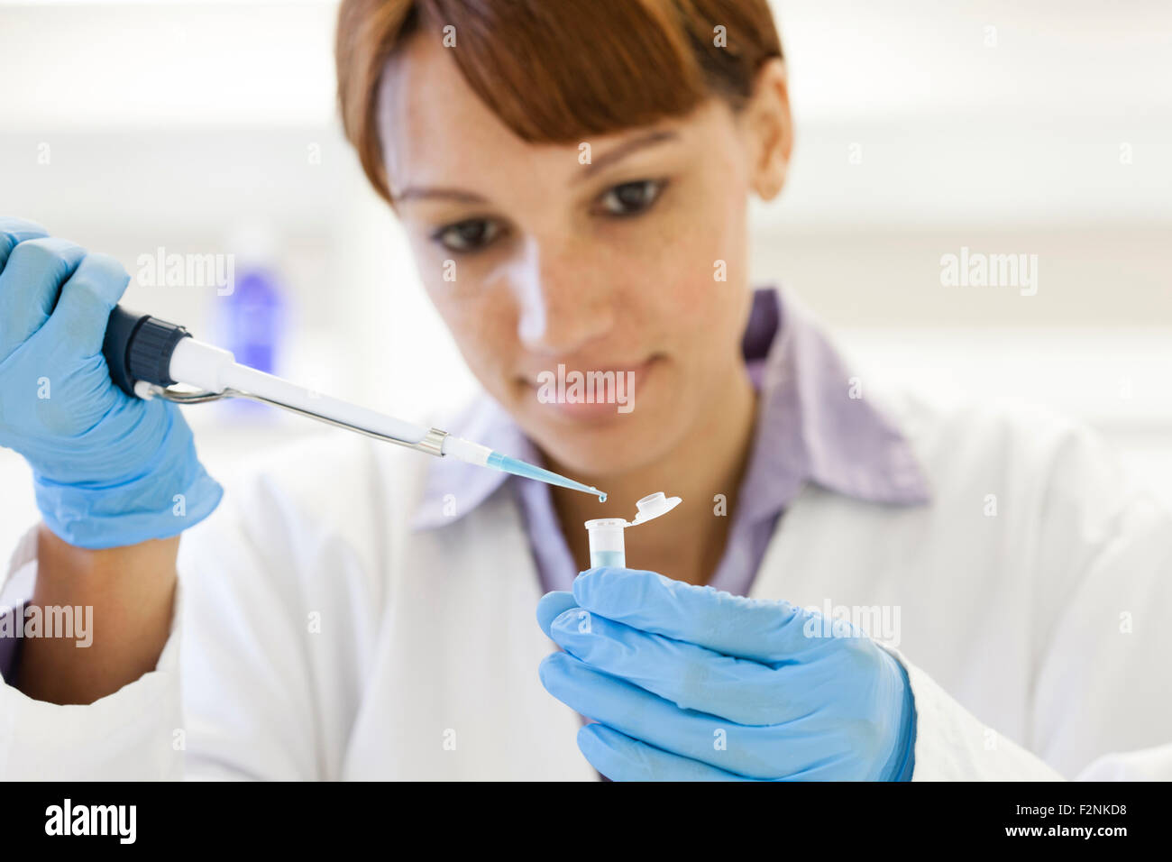 Mixed Race scientist pipetting sample into test tube in laboratory Banque D'Images