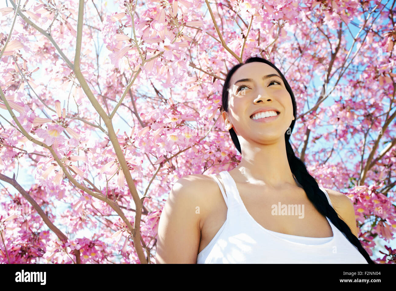Mixed Race woman standing en vertu de l'arbre en fleurs Banque D'Images