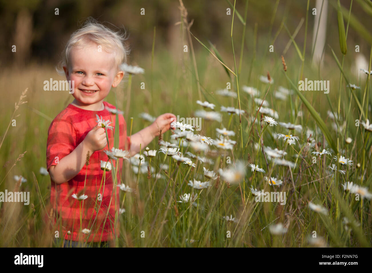 Woman admiring flowers in tall grass Banque D'Images