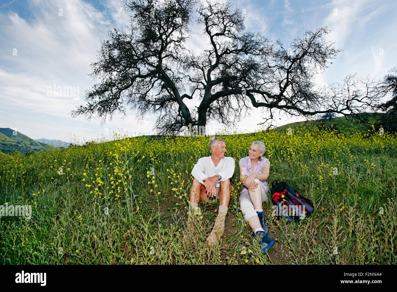 Caucasian couple sitting in tall grass Banque D'Images