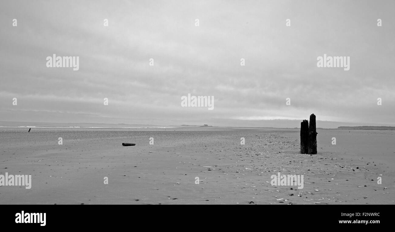 Plage de Norfolk vide en hiver Banque D'Images