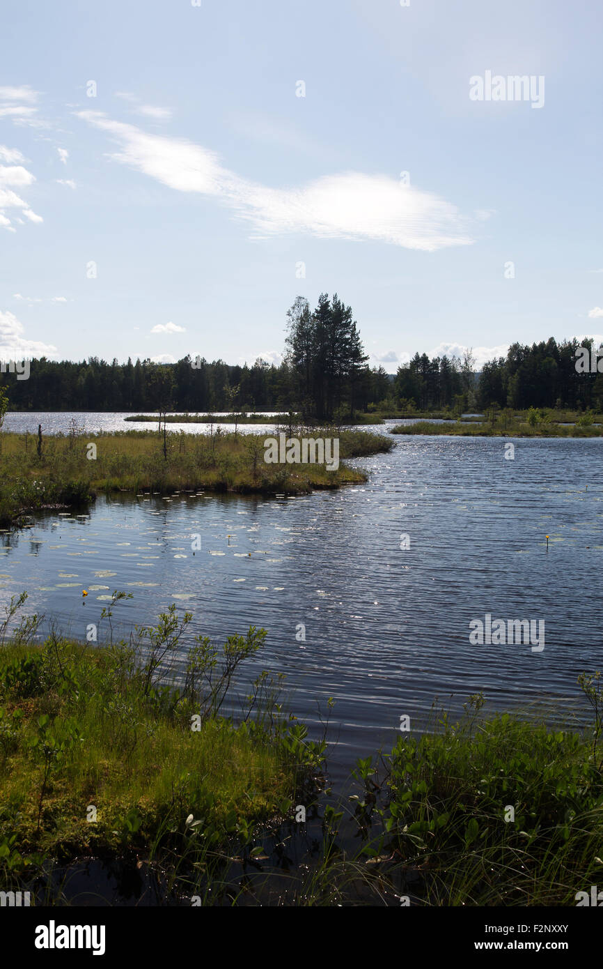 Dans l'île rétroéclairé lac suédois, réserve naturelle Glaskogen, Ostergotland, Suède Banque D'Images