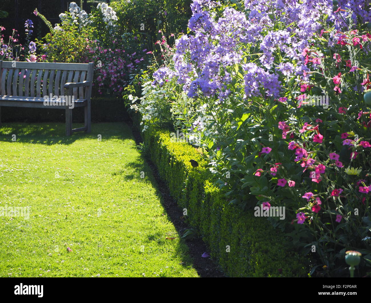 Sunny Corner de Chenies Manor Garden en plein été. Banquette en bois entourée de hautes vivaces dans des tons pastels bleu et rose. Banque D'Images