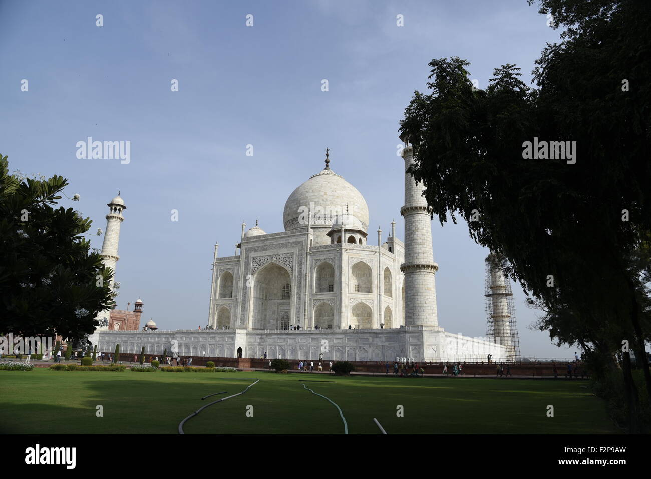 Vue complète du marbre blanc Taj Mahal (palais de la couronne)Low angle view dans de doux lumière magnifique ciel bleu & arbre de jardin Agra Inde Asie Banque D'Images