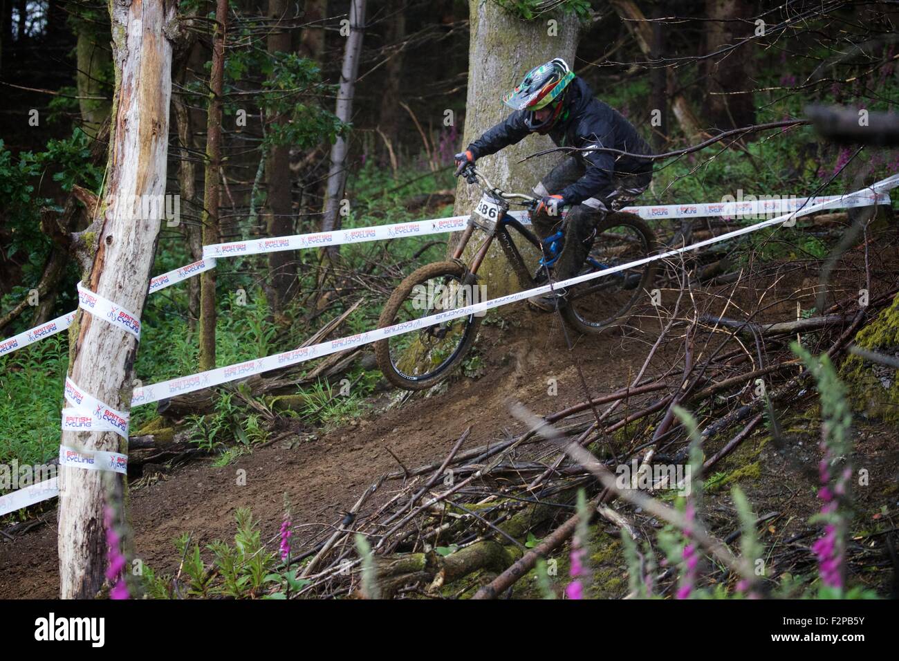 La série de descente VTT Extreme Sports Bala Galles Athlètes Dimanche 2015 Banque D'Images