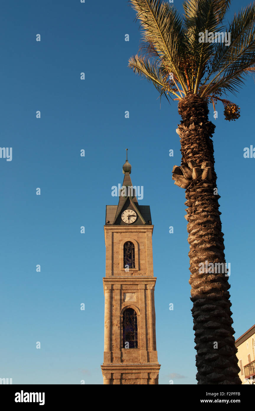 Tour de l'horloge à Jaffa et un palm, Haifa, Tel Aviv, Israël Banque D'Images
