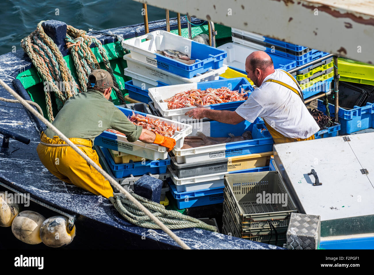 Les pêcheurs à bord du bateau de pêche chalutier captures de déchargement le long quai de la criée marché dans le port du Guilvinec, Bretagne Banque D'Images