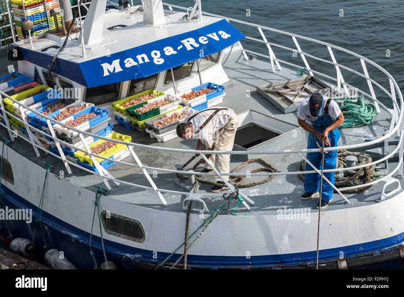 Pêcheur à bord du bateau de pêche chalutier le déchargement de captures de crevettes / langoustines le long quai du marché aux enchères du poisson dans le port Banque D'Images