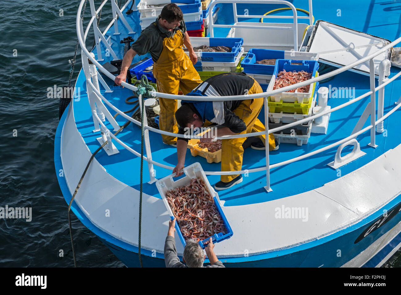 Les pêcheurs à bord du bateau de pêche chalutier le déchargement de captures de crevettes le long quai du marché aux enchères du poisson à port Bretagne, France Banque D'Images