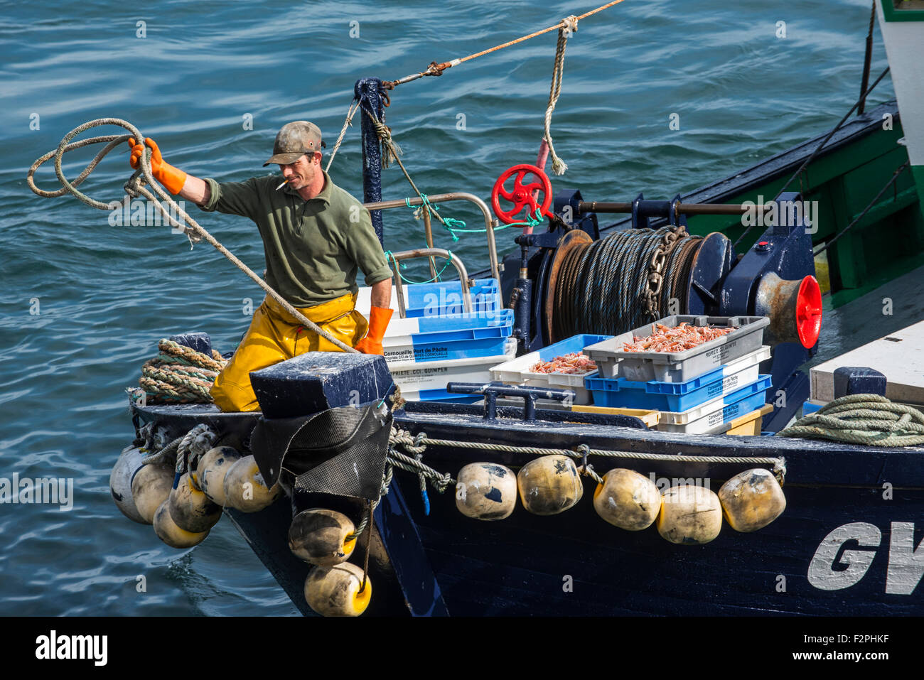 Pêcheur avec hawser à bord d'amarrage de bateaux de pêche de chalutiers pour décharger les captures de crevettes dans le port, Bretagne, France Banque D'Images