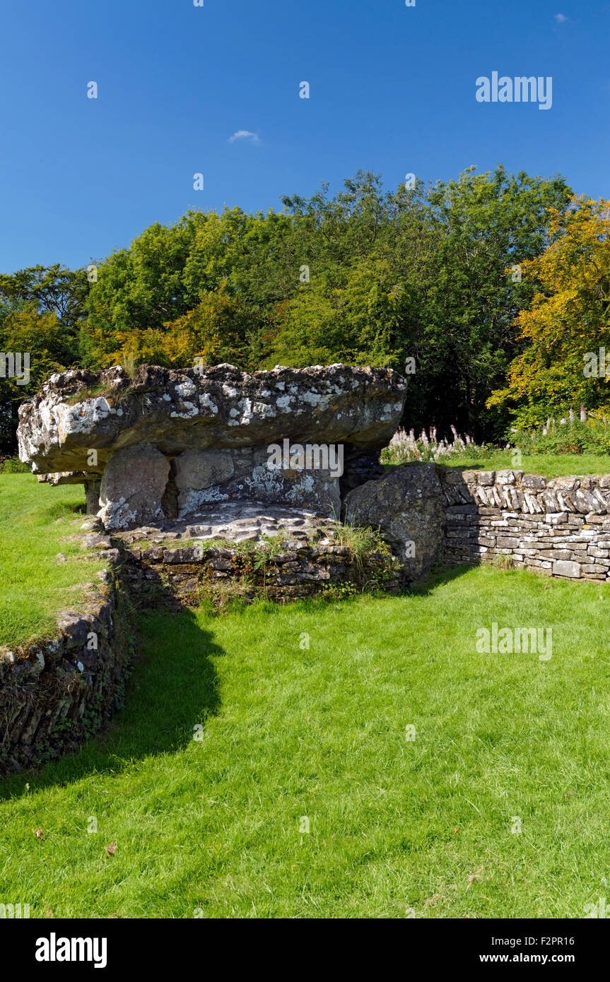 Tinkinswood chambre funéraire, St Nicholas, Vale of Glamorgan, Pays de Galles, Royaume-Uni. Banque D'Images