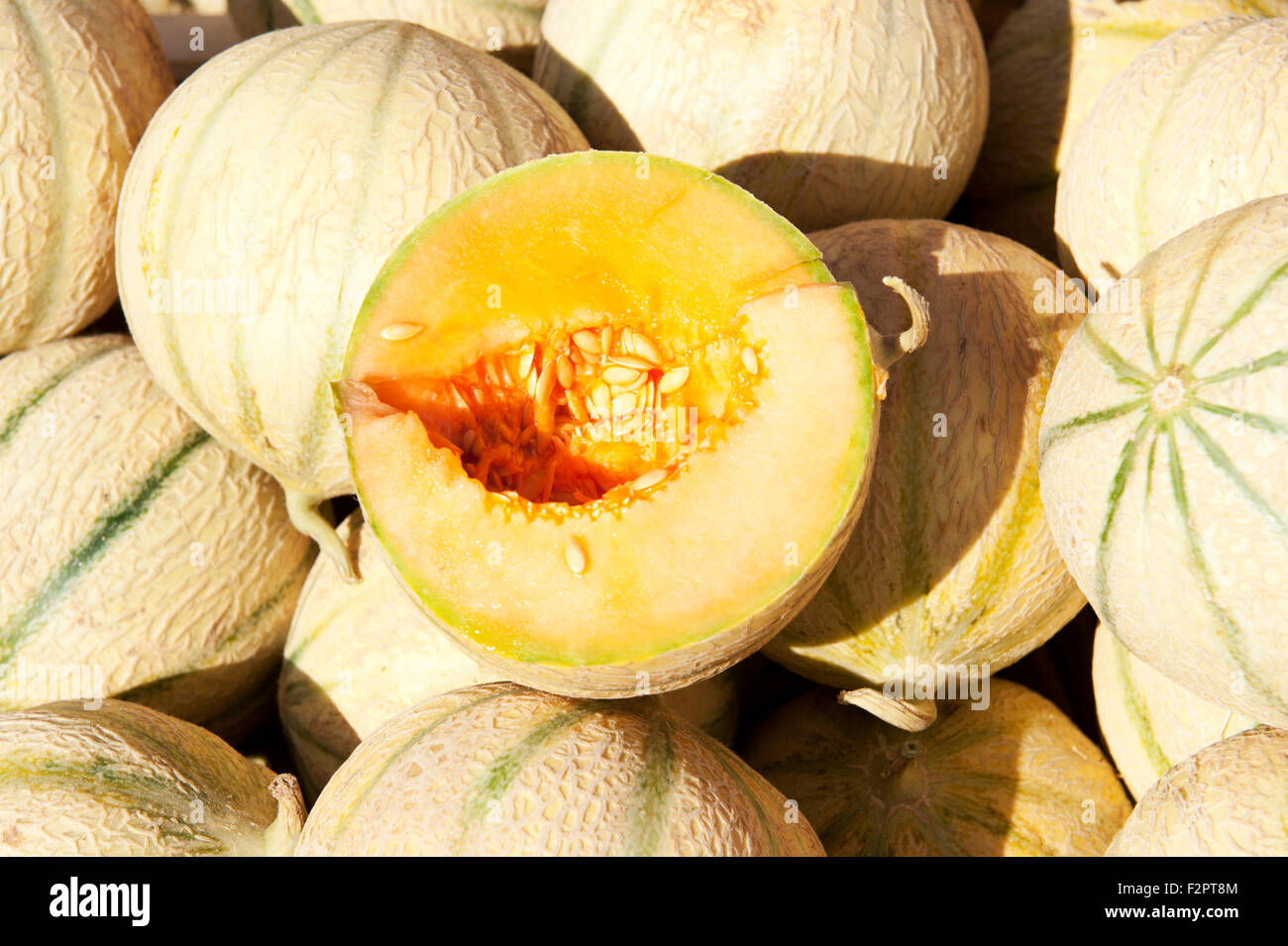 Melon sur stand en Provence France Europe Banque D'Images