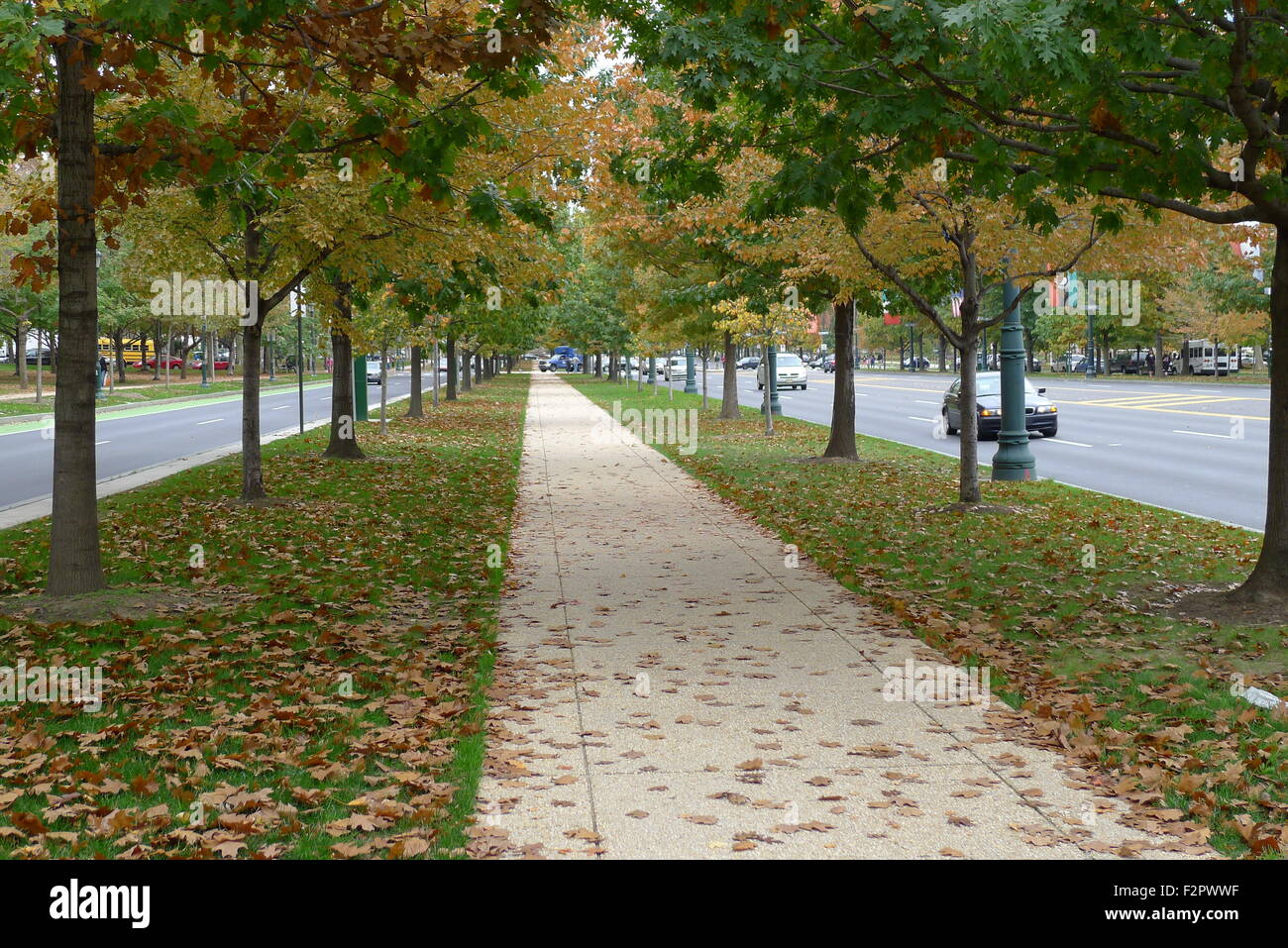 Feuillage d'automne à Benjamin Franklin Parkway à Philadelphie Banque D'Images