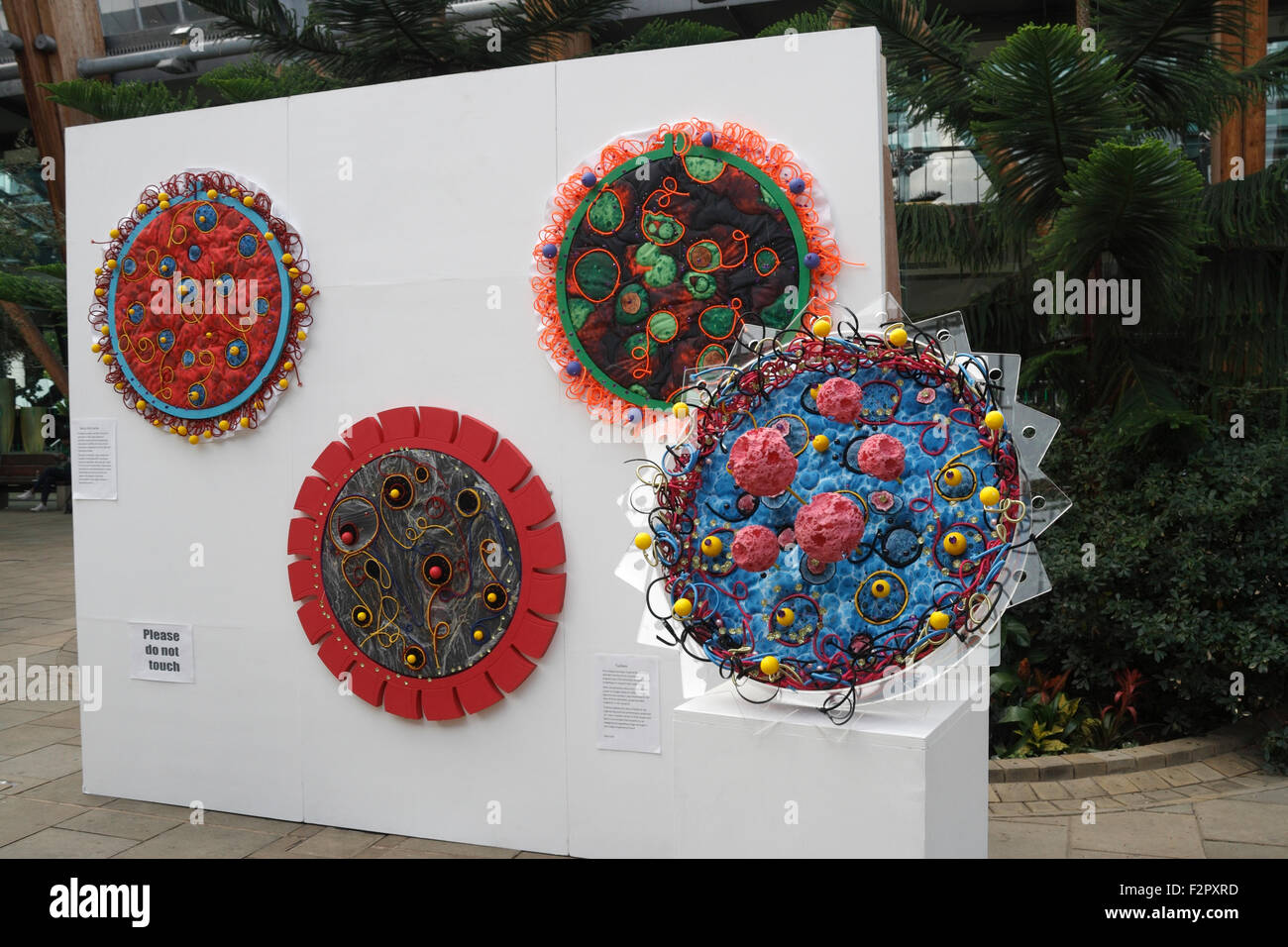 Petri géant sculptures Art exposition jardin d'hiver de Sheffield, Angleterre, Royaume-Uni Banque D'Images