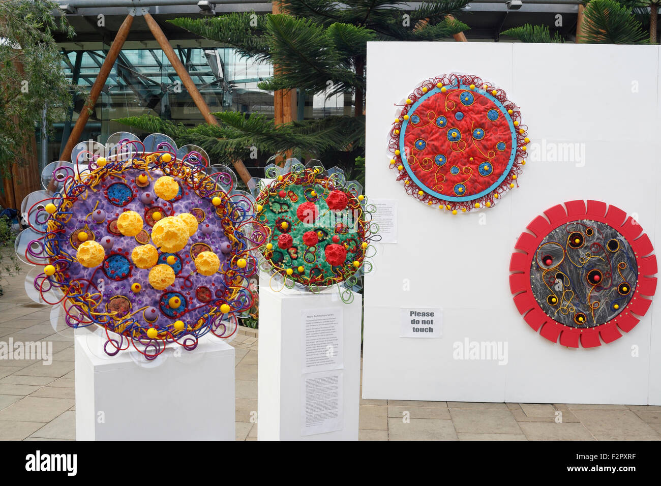 Petri géant sculptures Art exposition jardin d'hiver de Sheffield, Angleterre, Royaume-Uni Banque D'Images