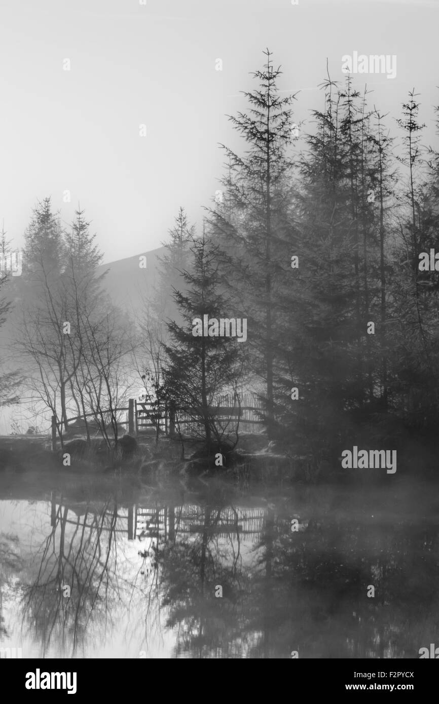 Passerelle du paysage dans la brume à côté d'un lac sur un matin au lever du soleil Banque D'Images