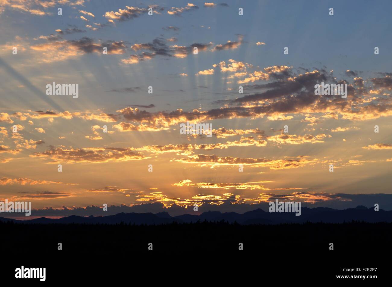 Coucher de soleil avec des rayons crépusculaires sur les montagnes olympiques photographiée près de Shelton, WA, USA. Banque D'Images