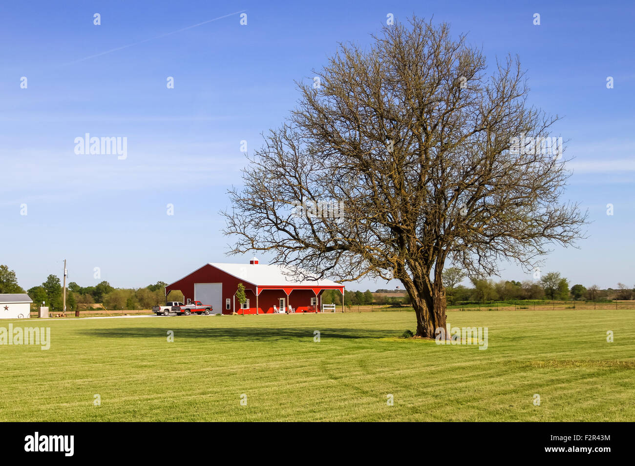 Single tree Ranch Banque D'Images