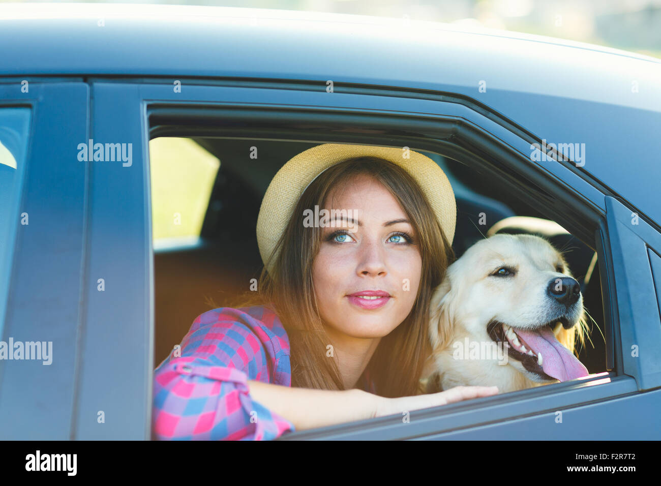 Femme et chien en voiture sur les voyages en été. Vacances avec animaux de concept. Banque D'Images
