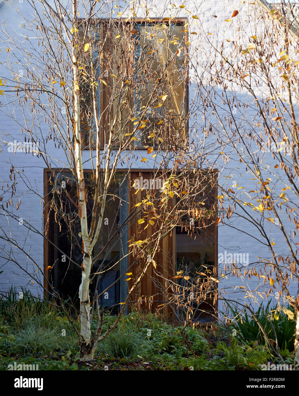 Front elevation partielle avec bouleau. Le Coach House, Londres, Royaume-Uni. Architecte : John Smart architectes, 2014. Banque D'Images