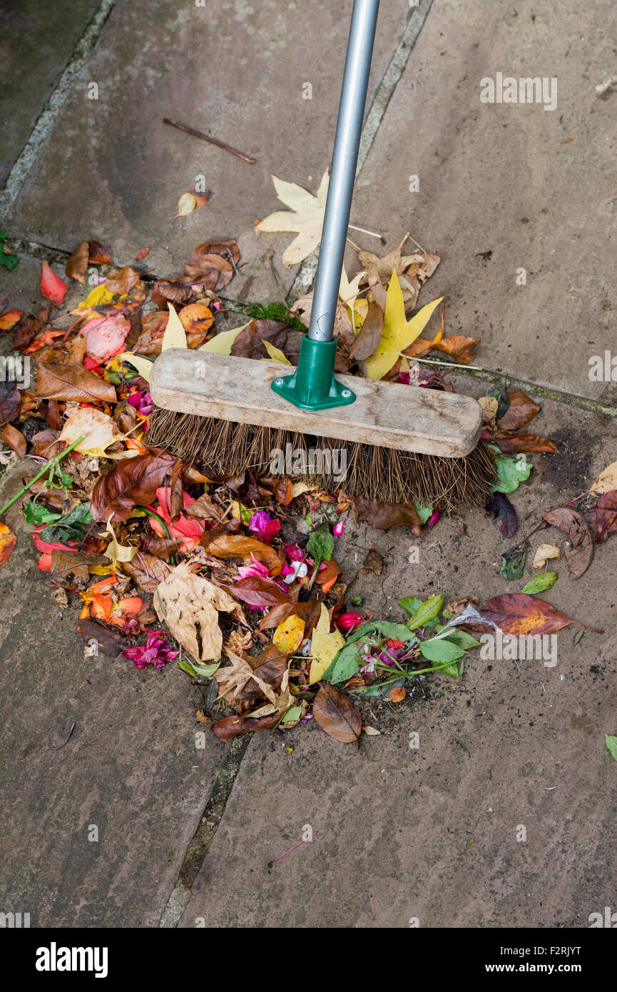 Balayage jardinier jusqu'automne passé fleurs et feuilles sur un chemin de jardin Banque D'Images