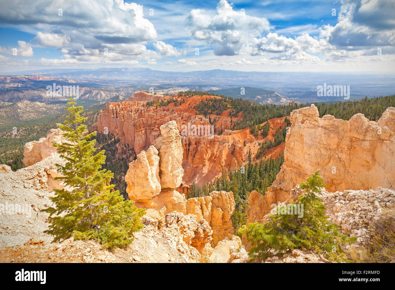 Formations rocheuses dans le Parc National de Bryce Canyon, Utah, USA. Banque D'Images