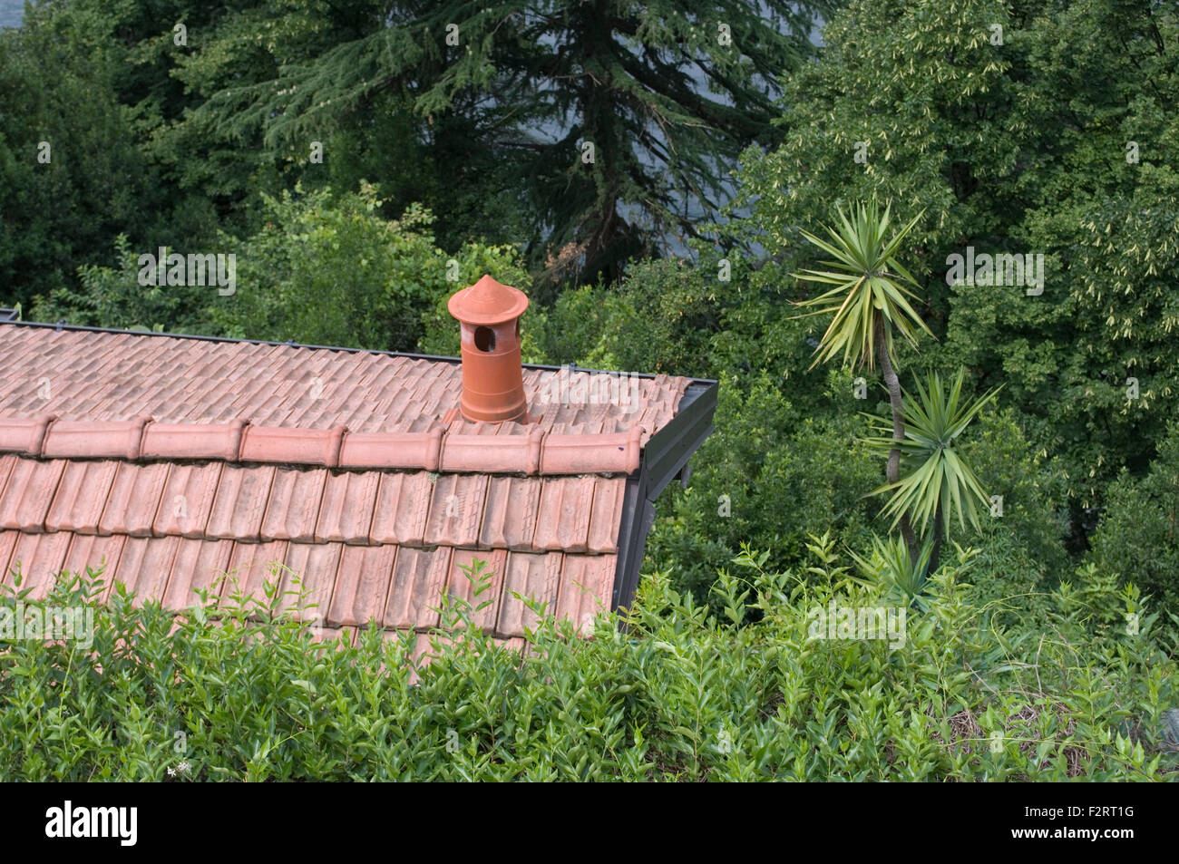 Toit d'une maison dans un jardin luxuriant, Italie Banque D'Images