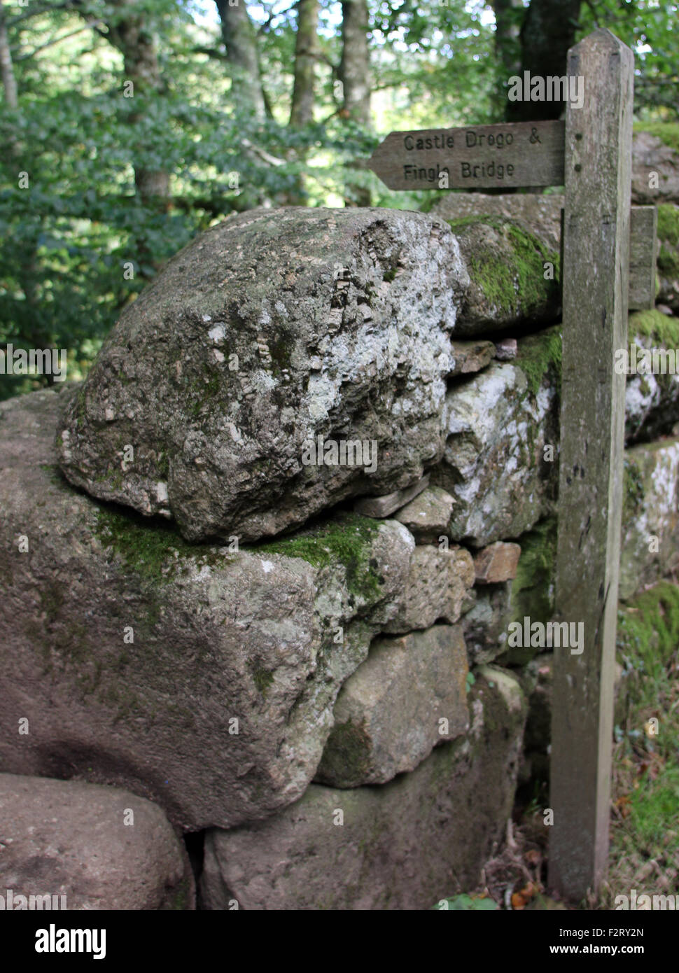 Fingle Bridge sentier Devon Banque D'Images
