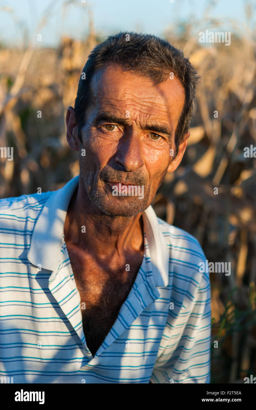 Portrait de l'agriculteur roumain plein air libre avec le champ de maïs derrière au coucher du soleil. Banque D'Images