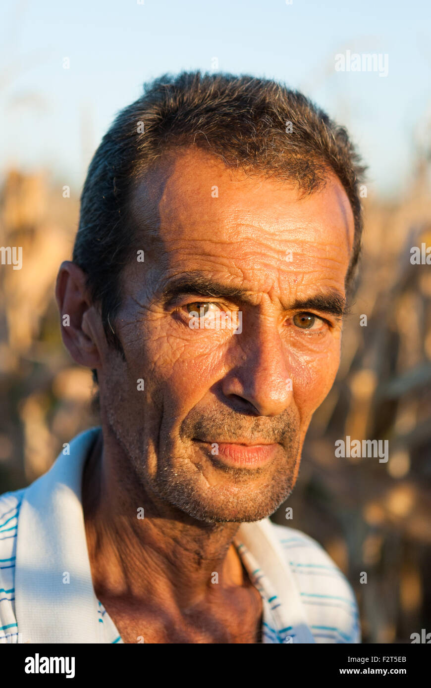 Portrait de l'agriculteur roumain en plein air dans le champ libre au coucher du soleil. Roumanie Banque D'Images