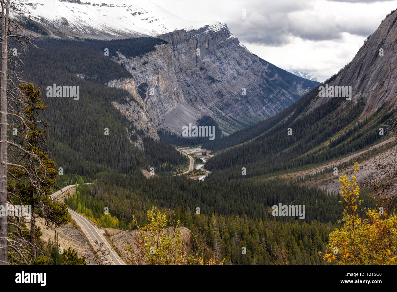 Regardant vers le bas sur la Promenade des glaciers dans le parc national de Banff, dans les Rocheuses canadiennes, Alberta, Canada, Amérique du Nord. Banque D'Images