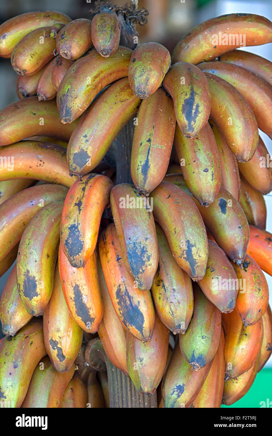 Bananes sur l'affichage à Galle, Sri Lanka du marché aux fruits Banque D'Images