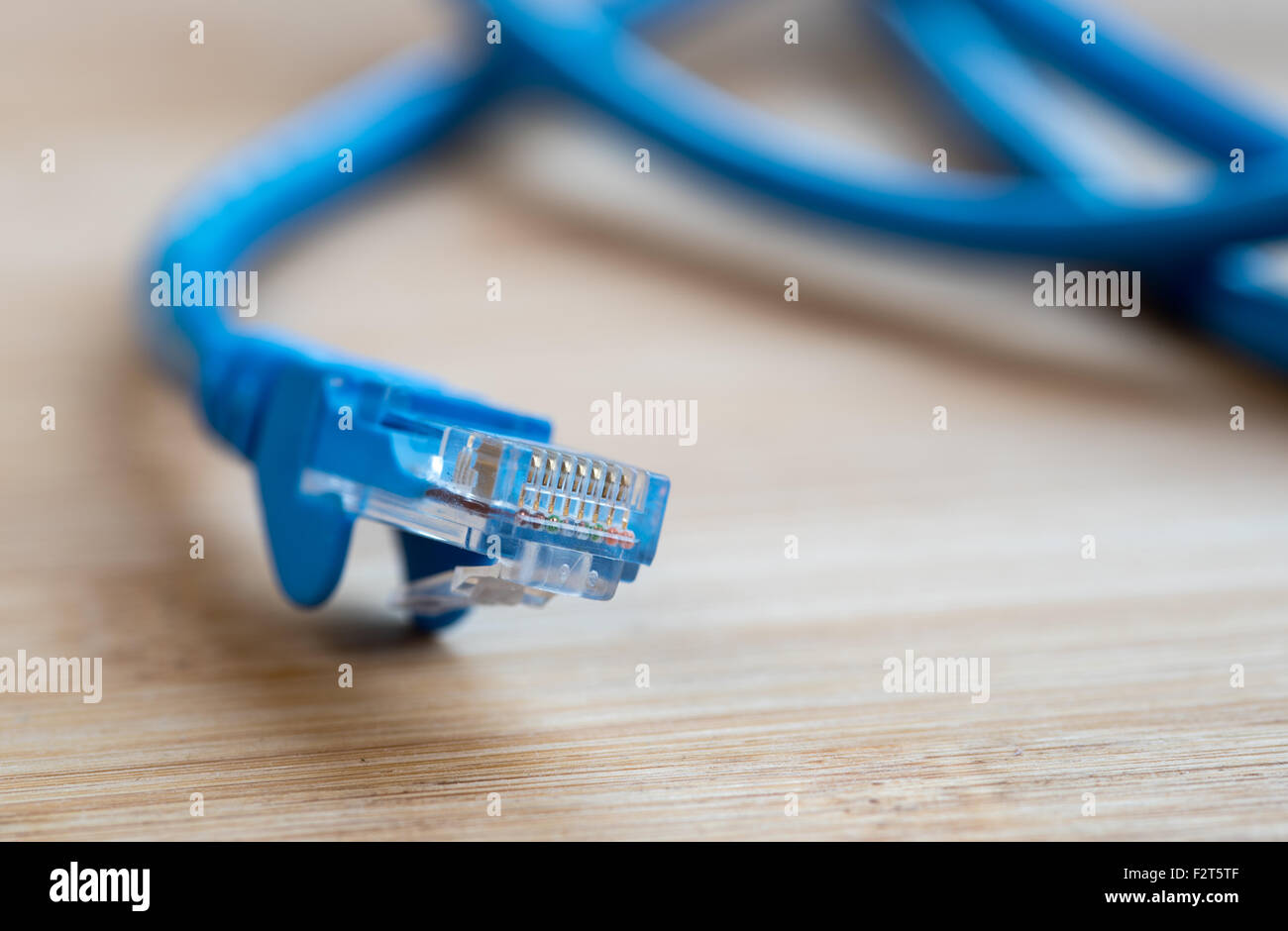 Close-up of a blue RJ45, câble réseau Ethernet de l'ordinateur pour l'exécution de données numériques sur un réseau informatique Banque D'Images
