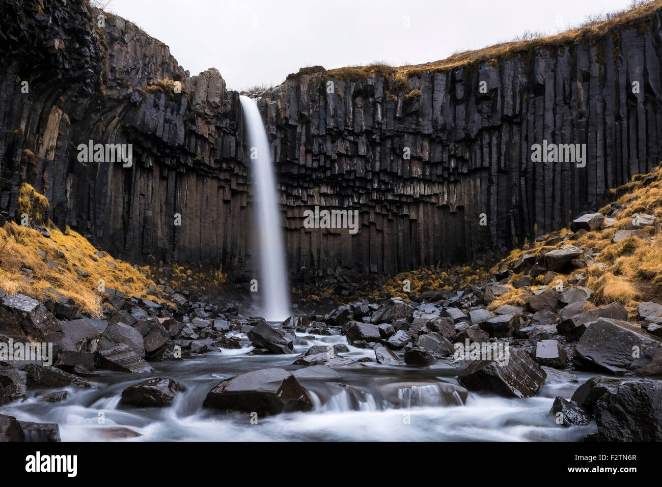 Cascade de Svartifoss avec river, le parc national de Skaftafell, Région du Sud, Islande Banque D'Images