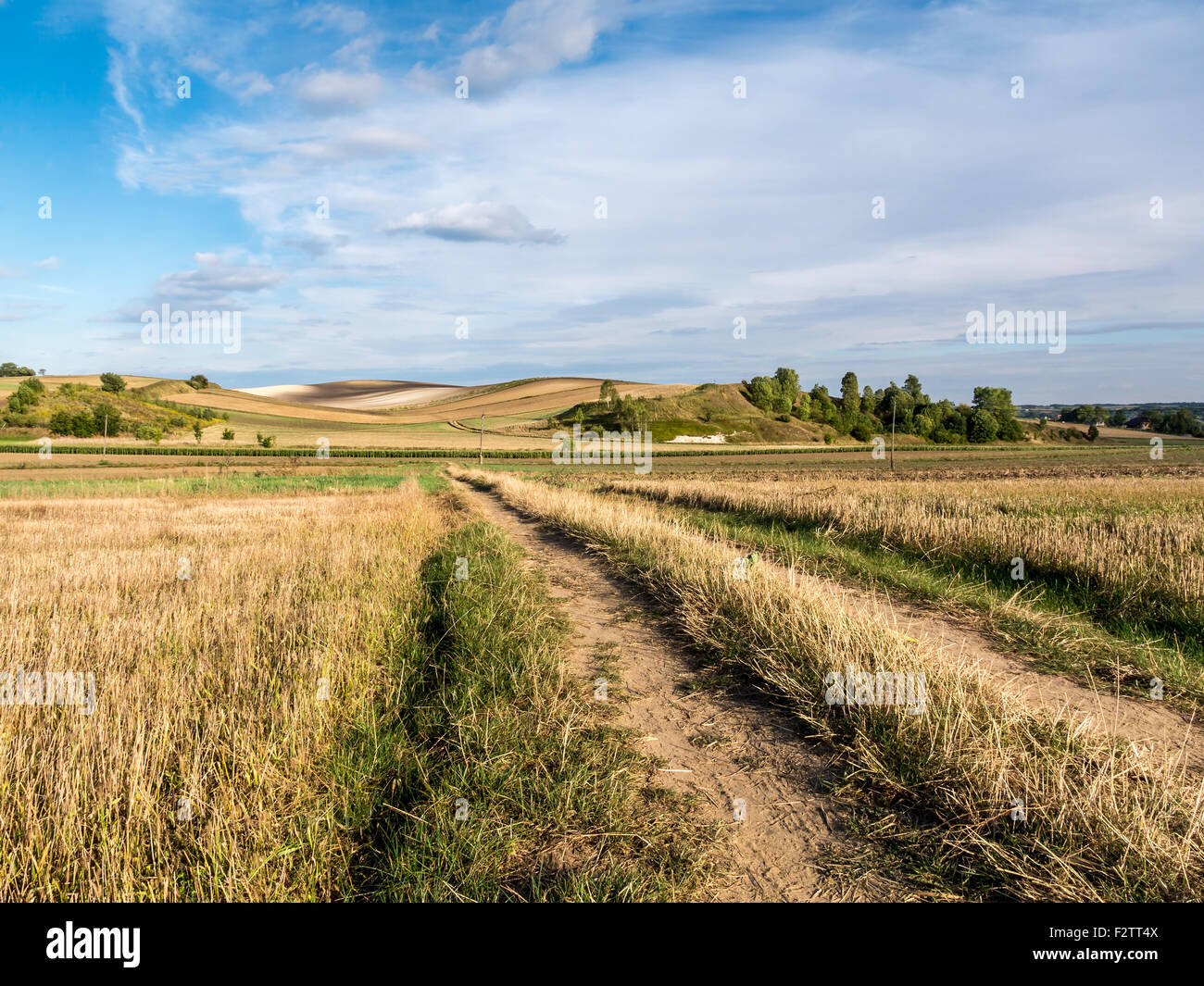 Route de campagne passant par champs arables Banque D'Images