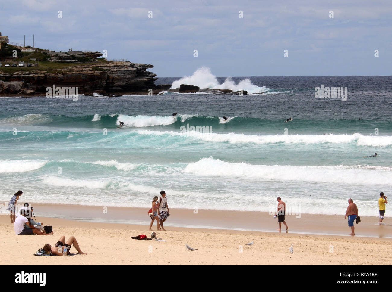 Bondi Beach Sydney Nouvelle Galles du Sud Banque D'Images