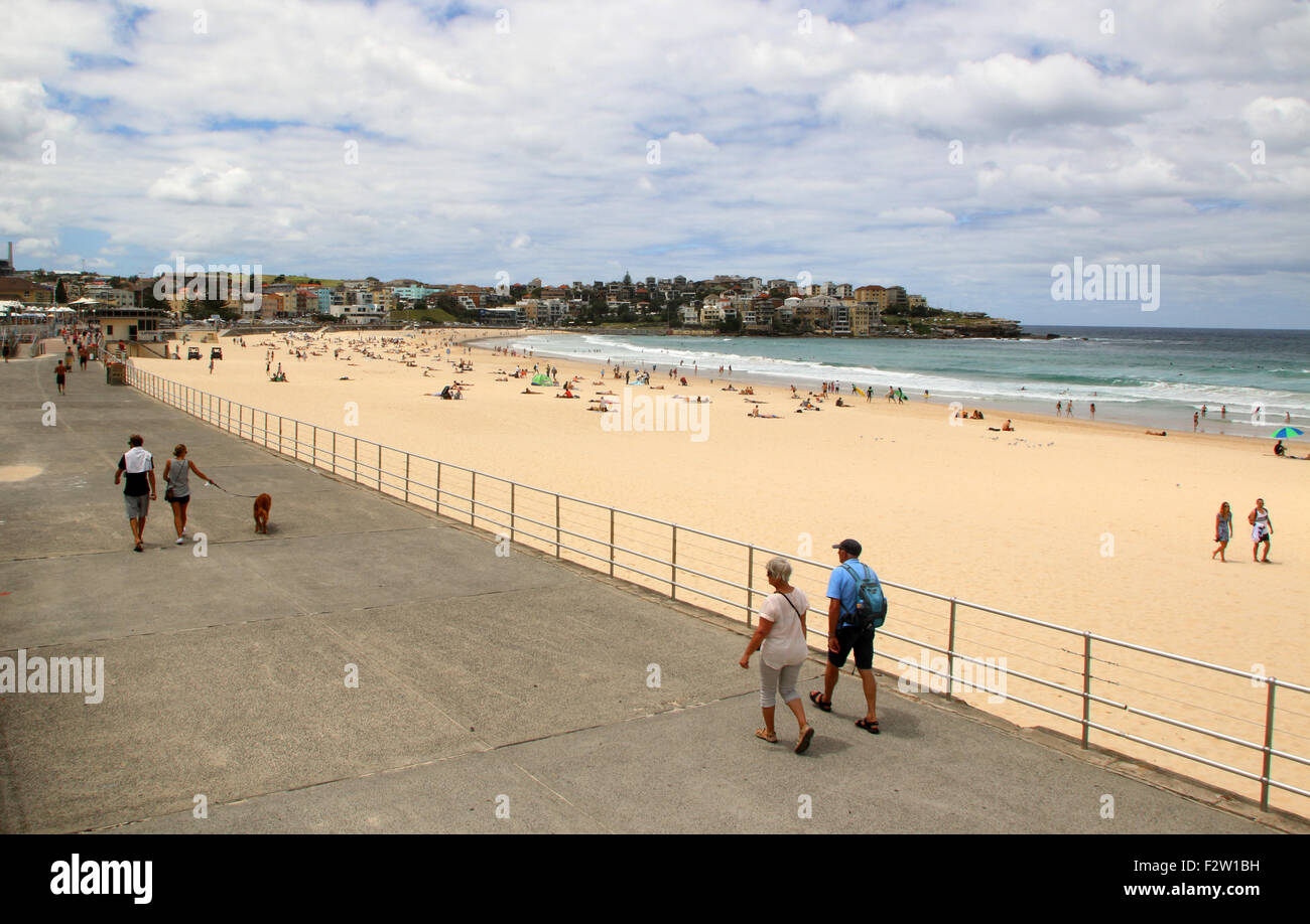 Bondi Beach Sydney Nouvelle Galles du Sud Banque D'Images