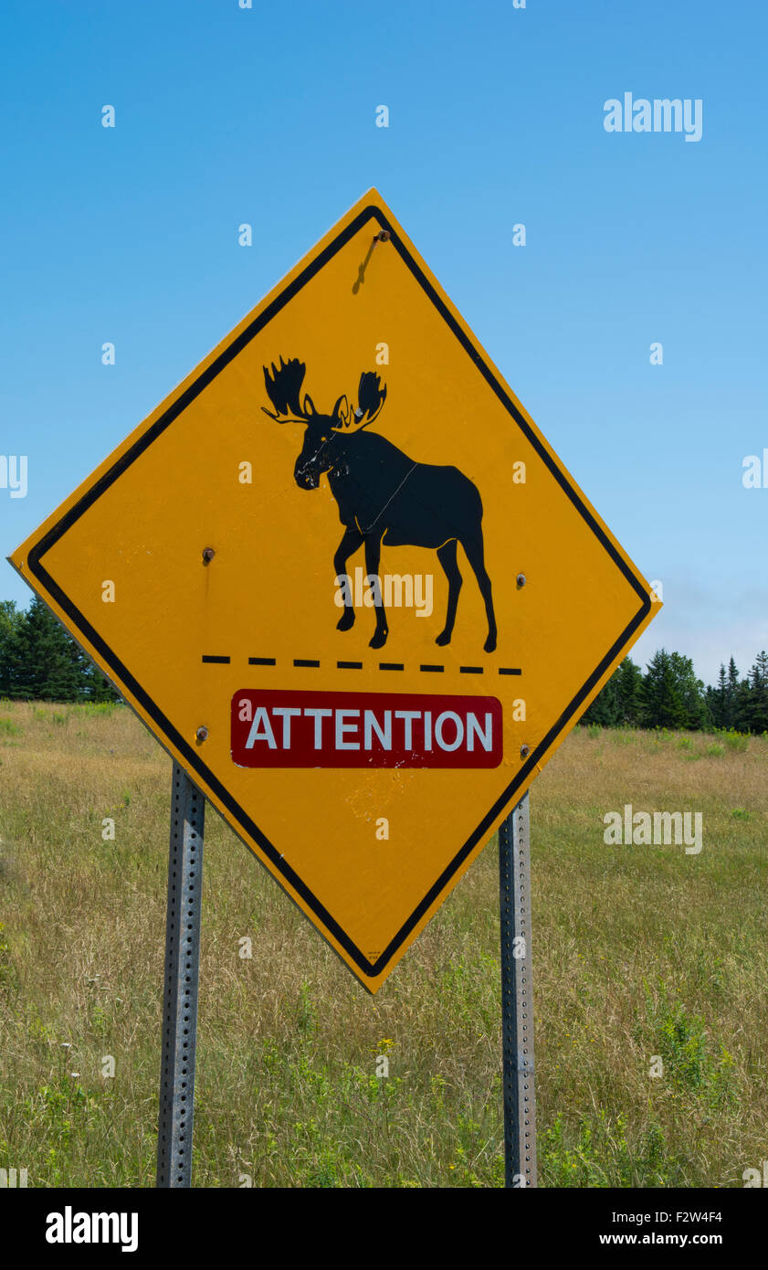 Le Canada près de St Martins Nouveau-brunswick Moose Crossing sur la Trans Canada Highway # 1 Banque D'Images