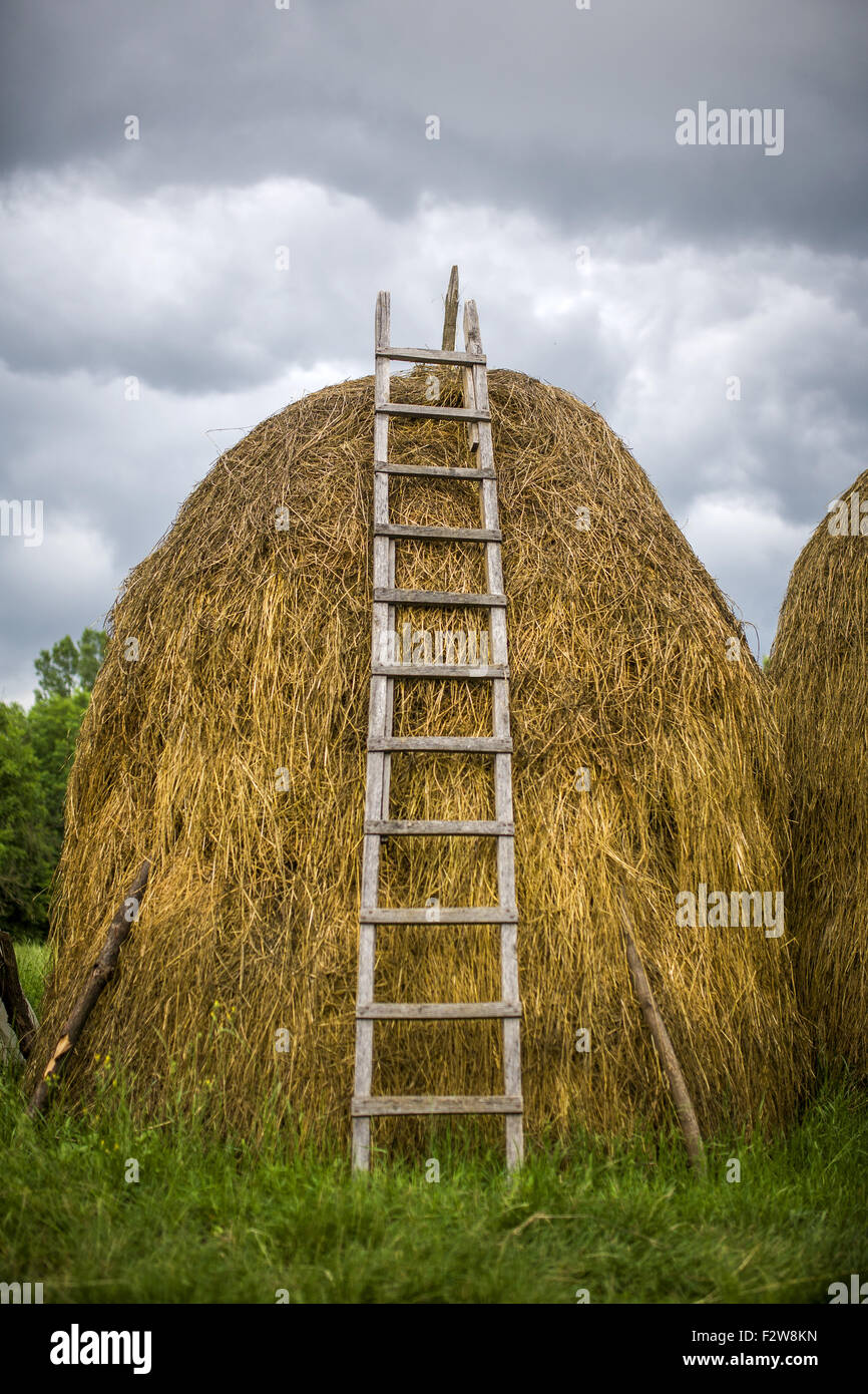 Paille de foin agricole Banque de photographies et d’images à haute — free download
