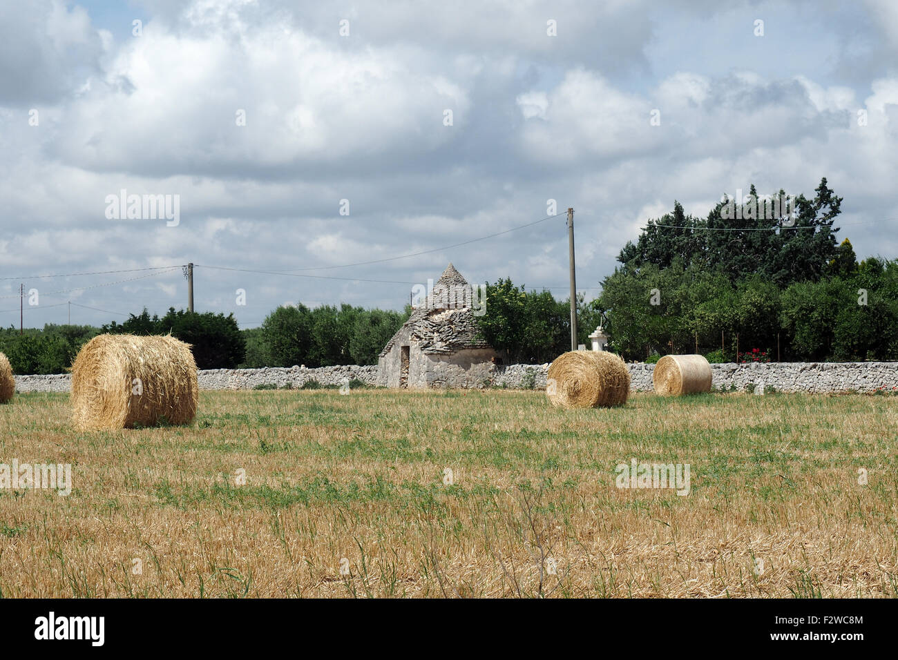 Laminés balles de foin dans un champ avec mur de pierre et trullo. Banque D'Images