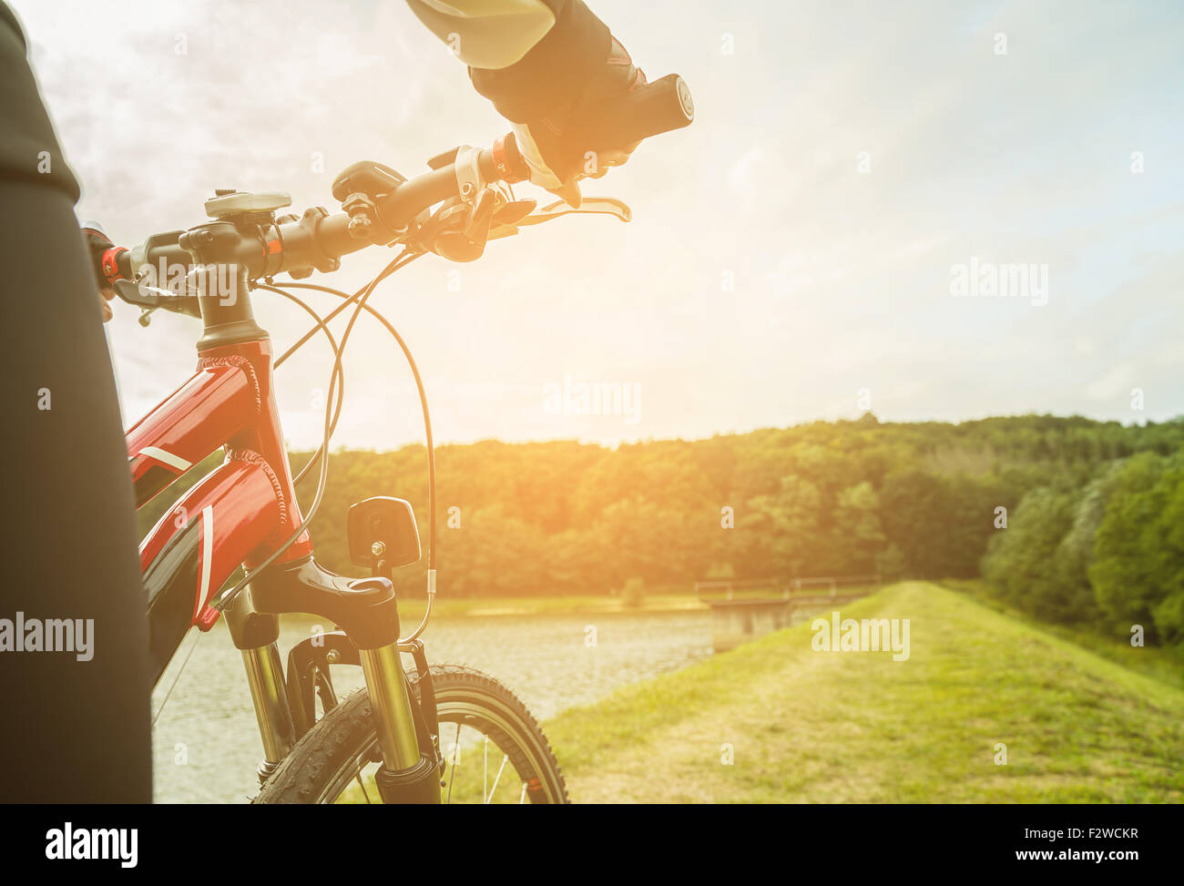 Le VTT en descente rapide en descente. Vue depuis les motards les yeux. Banque D'Images