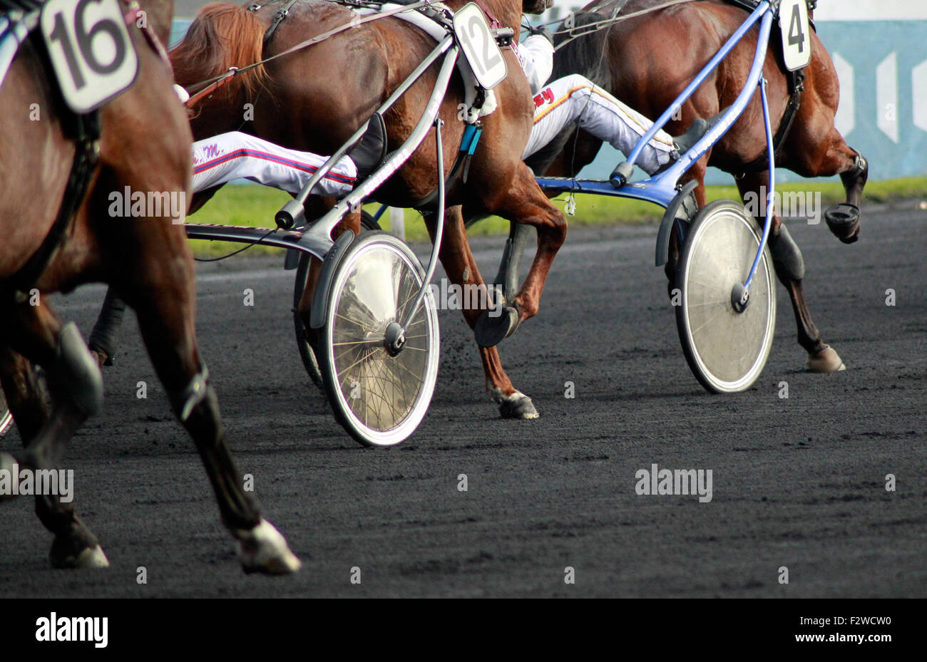 25.01.2015, Paris, Ile-de-France, France - Détail dans une course de trot. 0MK150125D554CAROEX.JPG - pas à vendre dans la région de G E R M A N Y, Banque D'Images