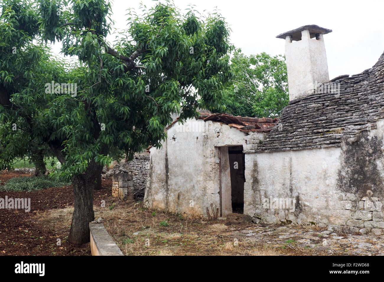 Trullo cottage Banque D'Images