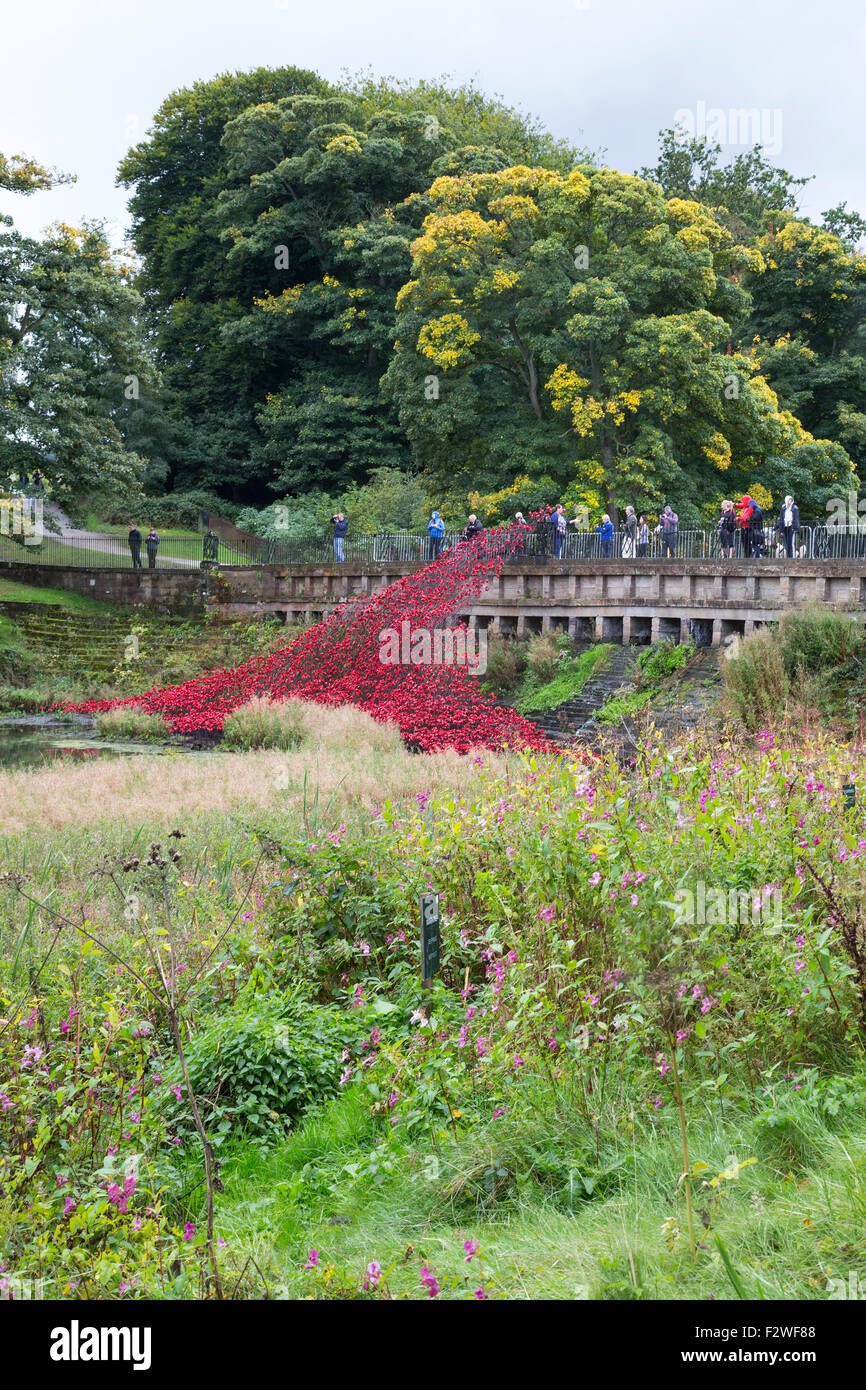 Pavot Rouge 'Wave' exposition de la Tour de Londres au pavot Yorkshire Sculpture Park. Les terres et les mers de sang ont balayé de rouge Banque D'Images